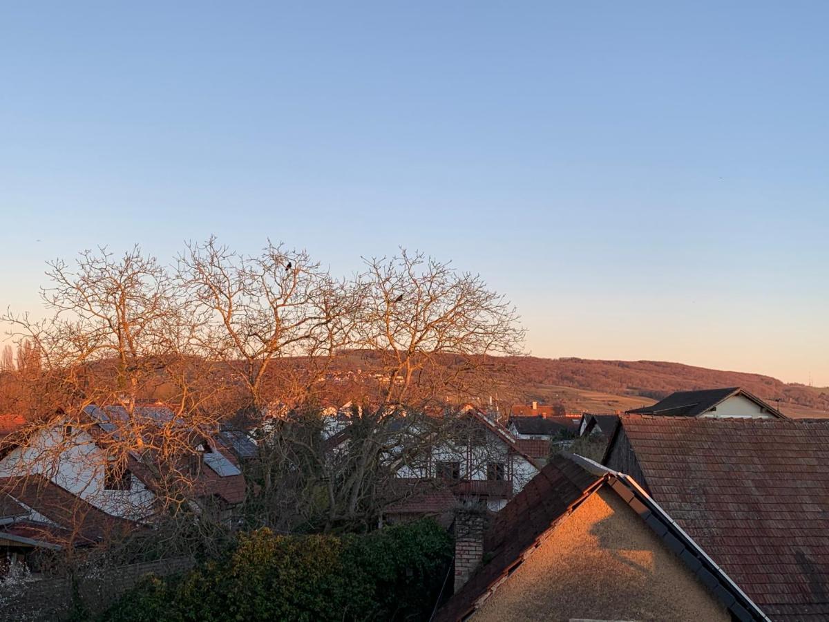 Ferienwohnung Baselblick, Eimeldingen Kültér fotó